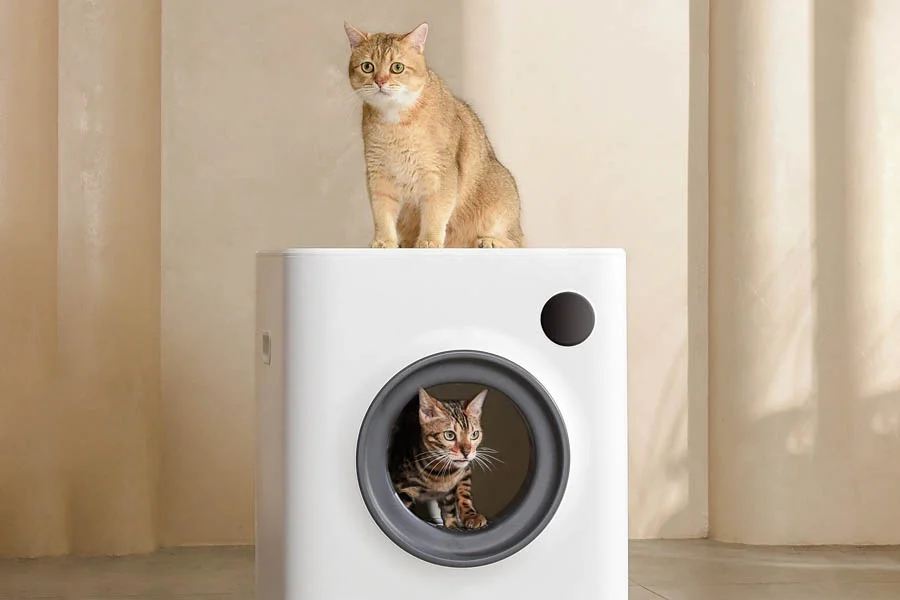 large litter boxes for multiple cats